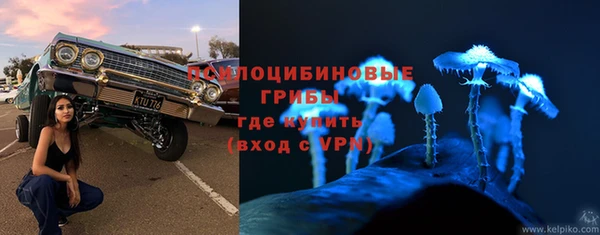 СК Абинск