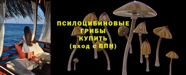 PSILOCYBIN Абаза