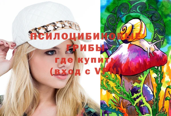 СК Абинск