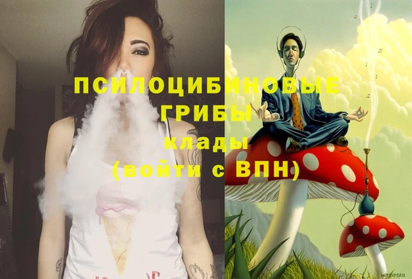 spice Абдулино