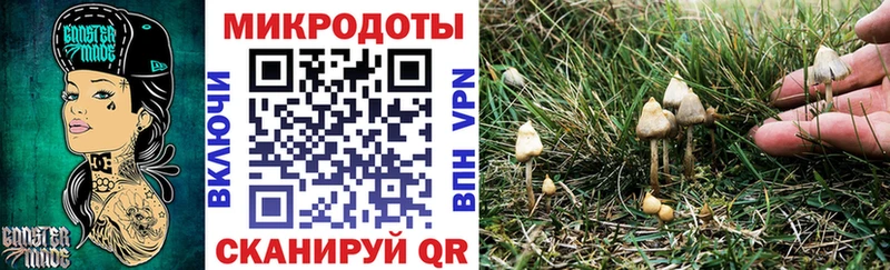 магазин продажи наркотиков Каргополь Галлюциногенные грибы Cubensis