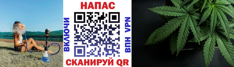 закладка  Каргополь  Бошки Шишки семена 